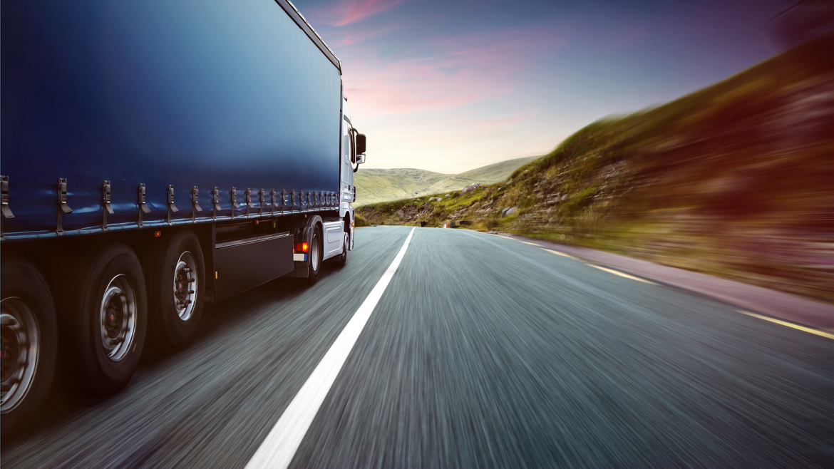 Domestic Shipping and Delivery Options