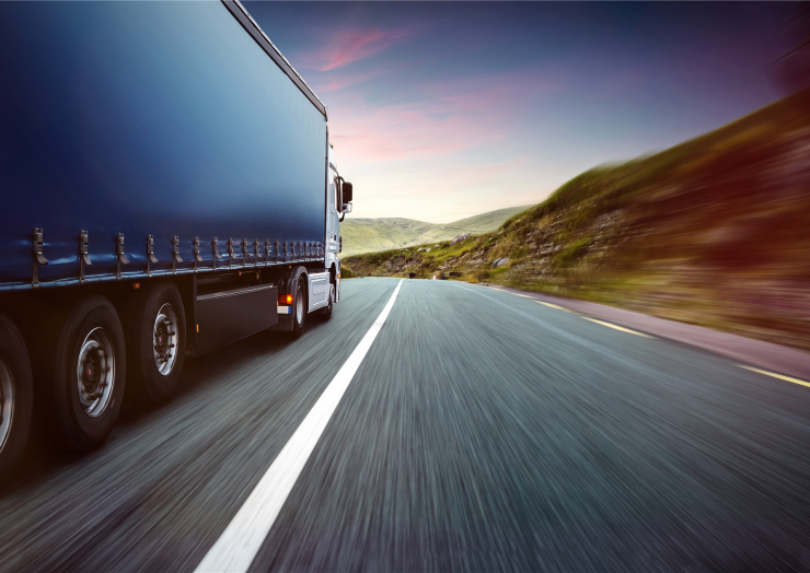 Domestic Shipping and Delivery Options